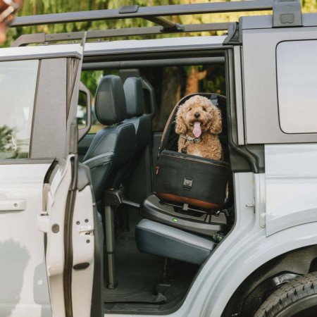 SISTEMA DE TRANSPORTE EN COCHE PARA MASCOTA MAEVE TAVO