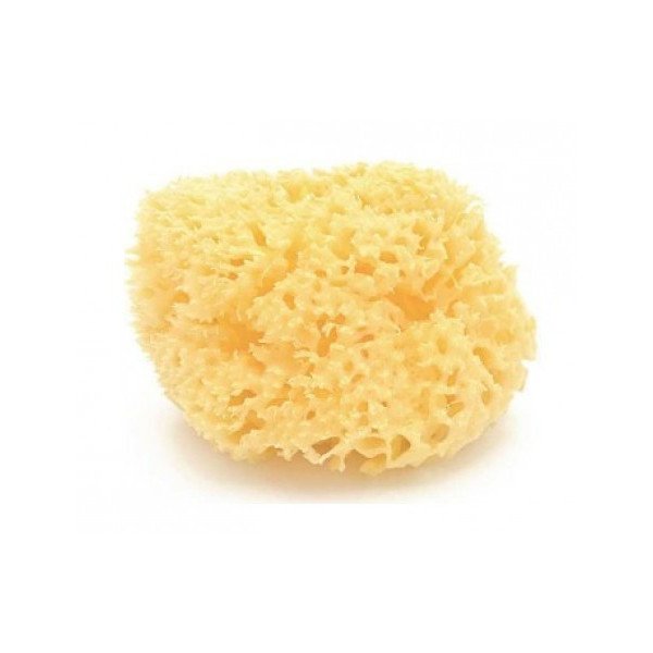 ESPONJA NATURAL ARCHIPIELAGO DAMA N12