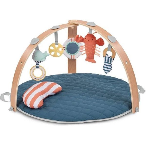 COZY SPOT REVERSIBLE INGENUITY