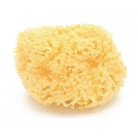 ESPONJA NATURAL ARCHIPIELAGO DAMA N14