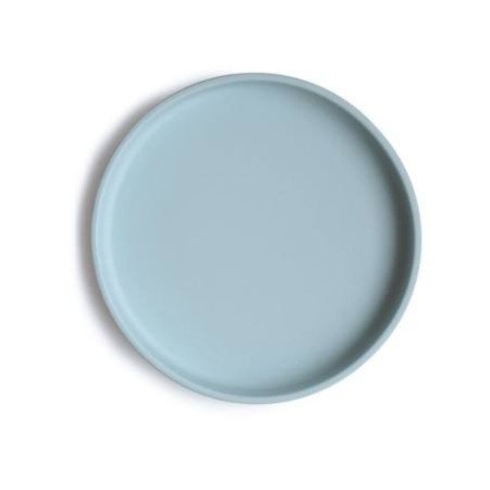 PLATO DE SILICONA CON VENTOSA