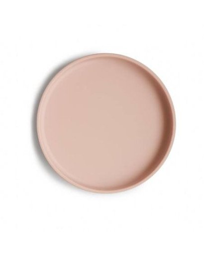 PLATO DE SILICONA CON VENTOSA