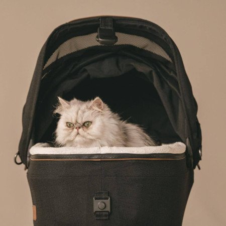 SISTEMA DE TRANSPORTE EN COCHE PARA MASCOTA MAEVE TAVO