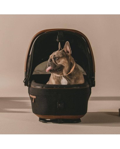SISTEMA DE TRANSPORTE EN COCHE PARA MASCOTA MAEVE TAVO
