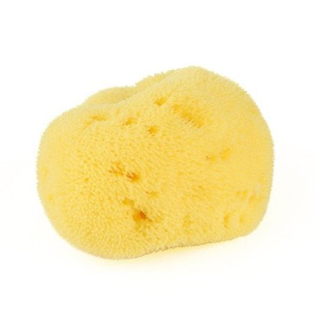 ESPONJA NATURAL FINA DAMA N10