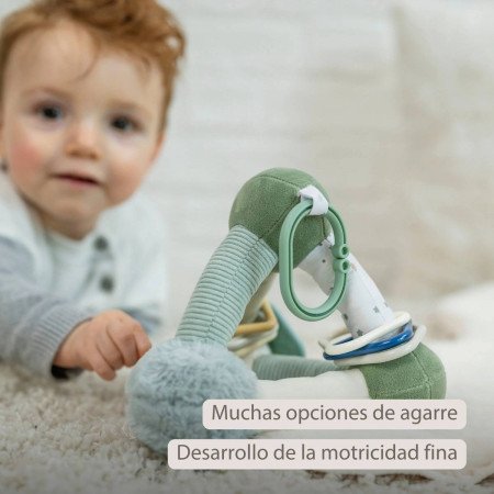 PIRAMIDE DE ACTIVIDADES NATTOU
