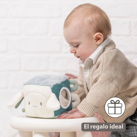 CUBO ACTIVIDADES SOFTY NATTOU
