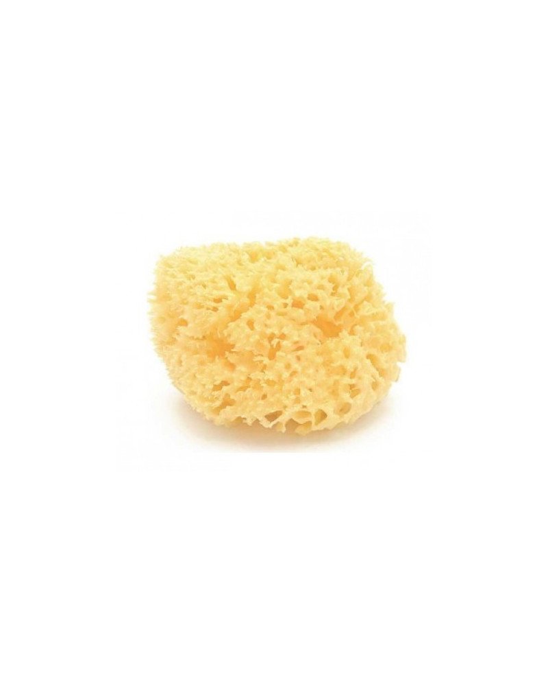 ESPONJA NATURAL ARCHIPIELAGO DAMA N14