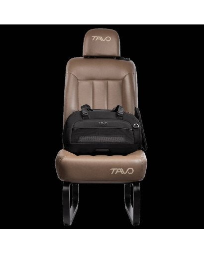 SISTEMA DE TRANSPORTE EN AVIÓN O COCHE PARA MASCOTA DUPREE TAVO