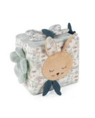 CUBO ACTIVIDADES PASITO A PASITO