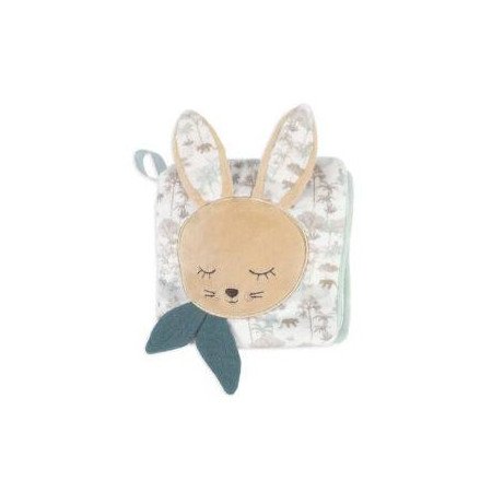 LIBRO ACTIVIDADES PASITOA PASITO