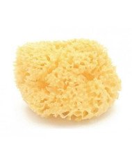 ESPONJA NATURAL ARCHIPIELAGO DAMA N14