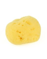 ESPONJA NATURAL FINA DAMA N10