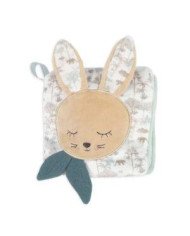 LIBRO ACTIVIDADES PASITOA PASITO