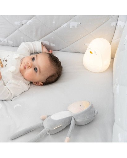 LUZ DE COMPAÑIA ¨POLARIS¨