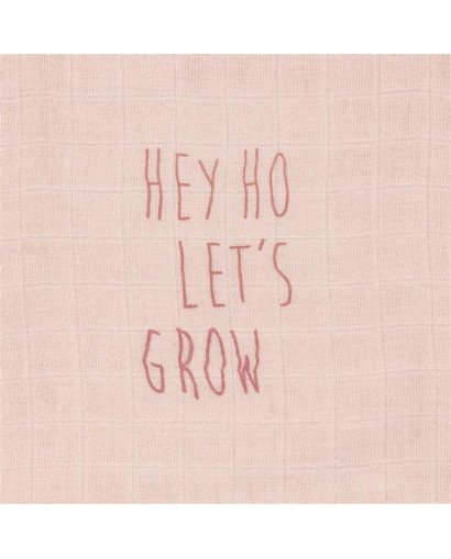 MUSELINA (PACK 2) LASSIG