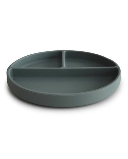 PLATO VENTOSA-COMPARTIMENTOS MUSHIE