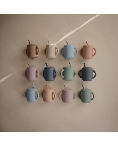 TAZA DIDÁCTICA+PAJITA SILICONA