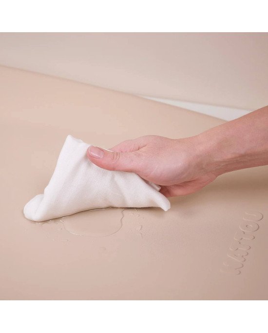 CAMBIADOR SOFTY NATTOU