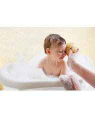 ESPONJA NATURAL FINA DAMA N10