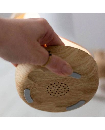 LAMPARA CON ALTAVOZ PAJARO