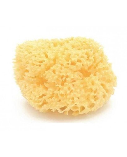 ESPONJA NATURAL ARCHIPIELAGO DAMA N14
