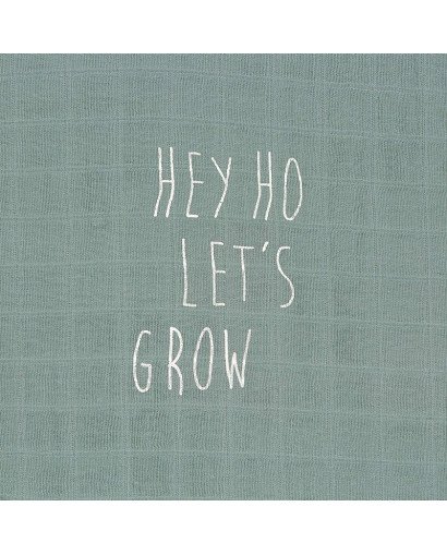 MUSELINA (PACK 2) LASSIG