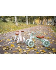 BICICLETA DE EQUILIBRIO RIDE FREE SARO