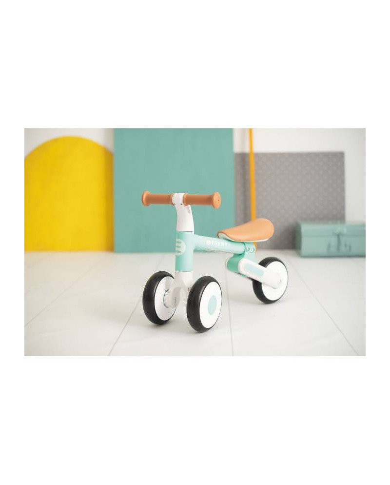 BICICLETA SIN PEDALES TEENY OLMITOS