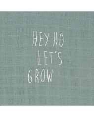 MUSELINA (PACK 2) LASSIG