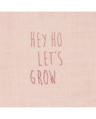 MUSELINA (PACK 2) LASSIG