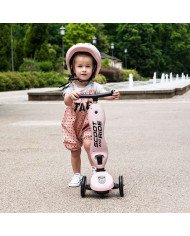 PATIN 2 EN 1 HIGHWAYKICK ONE NIKIDOM