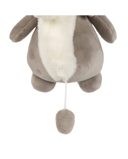 PELUCHE MUSICAL PASITO A PASITO