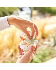 PORTACHUPETES VALENCIA MINILAND