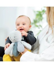 PULPO ACTIVIDADES NATTOU