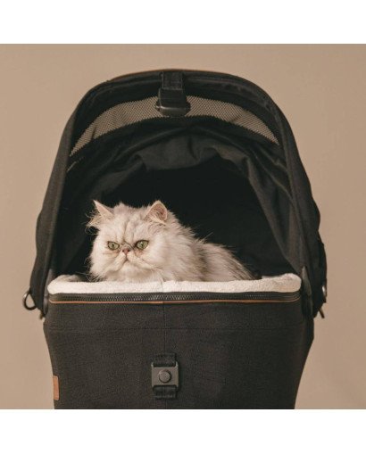 SISTEMA DE TRANSPORTE EN COCHE PARA MASCOTA MAEVE TAVO