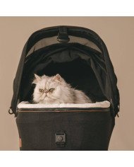 SISTEMA DE TRANSPORTE EN COCHE PARA MASCOTA MAEVE TAVO