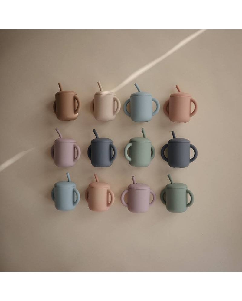 TAZA DIDÁCTICA+PAJITA SILICONA