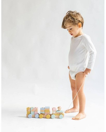 TREN CON PIEZAS ENCAJABLES MADERA SARO