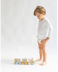 TREN CON PIEZAS ENCAJABLES MADERA SARO