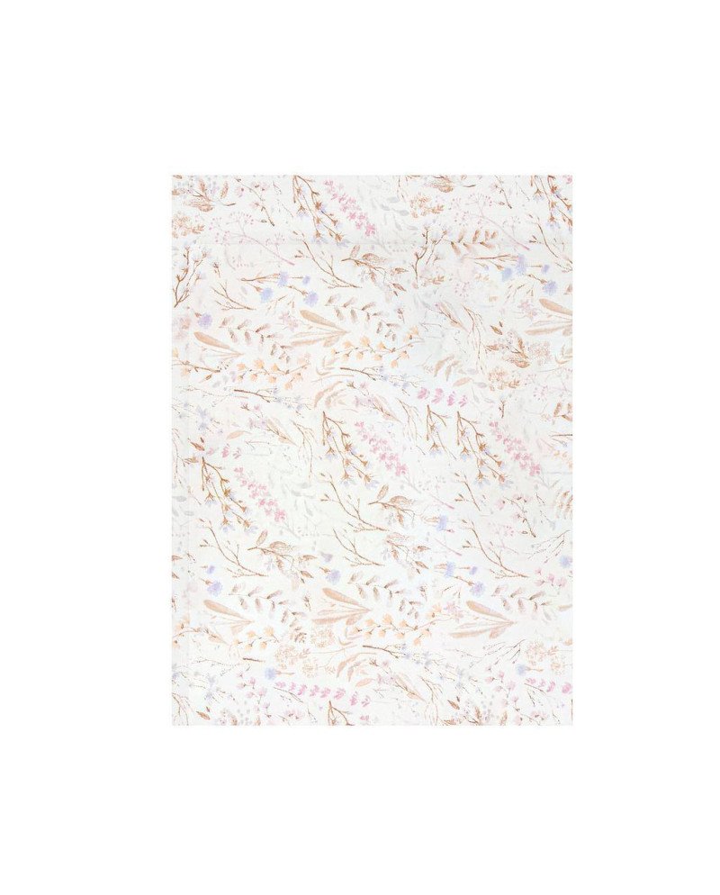 BAJERA PUNTO COCHE BIMBI