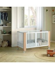 CUNA CONVERTIBLE CONVERBABY MICUNA