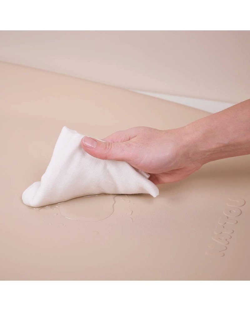 CAMBIADOR SOFTY NATTOU