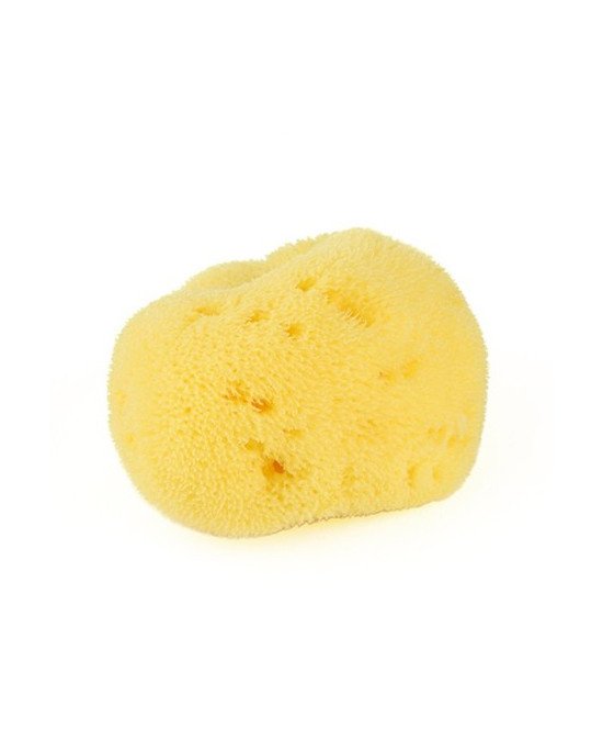 ESPONJA NATURAL FINA DAMA N10