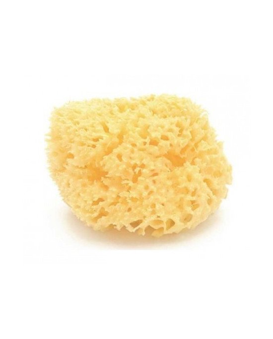 ESPONJA NATURAL ARCHIPIELAGO DAMA N14