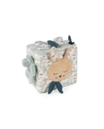 CUBO ACTIVIDADES PASITO A PASITO