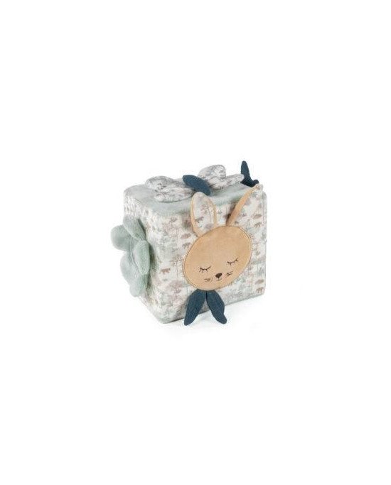 CUBO ACTIVIDADES PASITO A PASITO