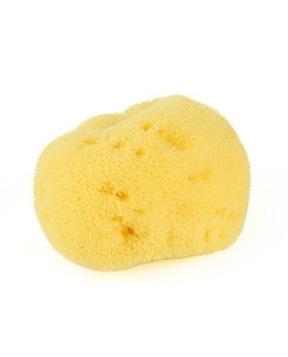 ESPONJA NATURAL FINA DAMA N10