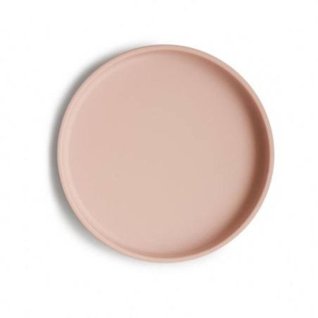 PLATO DE SILICONA CON VENTOSA