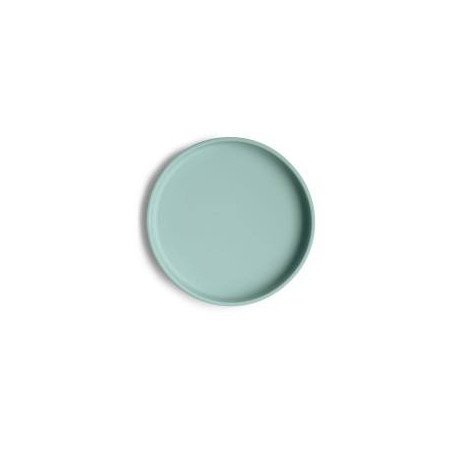 PLATO DE SILICONA CON VENTOSA